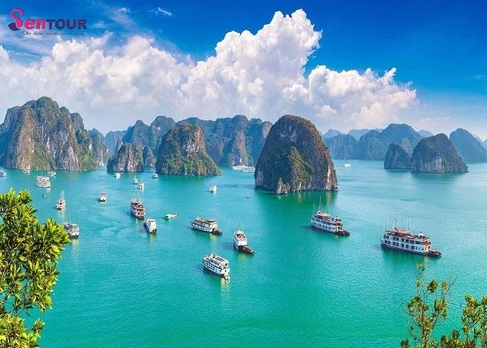 Du lịch biển Quảng Ninh