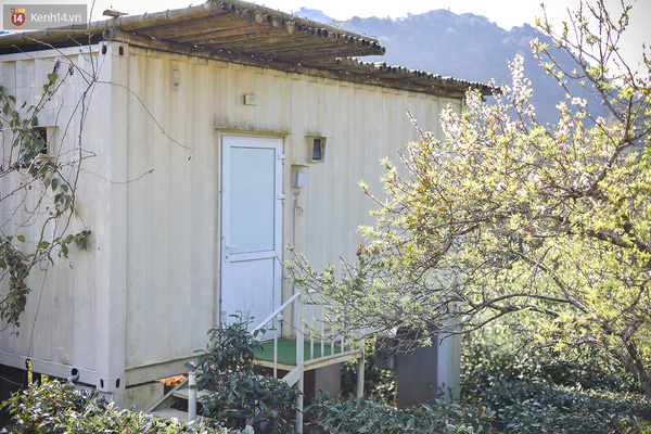 Lên Mộc Châu, ngủ nhà container đầy sắc màu giữa rừng mận trắng, cải vàng - Ảnh 9.