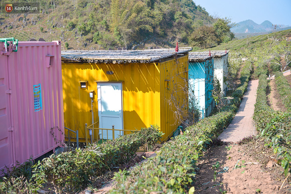 Lên Mộc Châu, ngủ nhà container đầy sắc màu giữa rừng mận trắng, cải vàng - Ảnh 11.