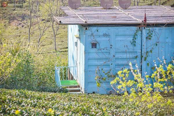 Lên Mộc Châu, ngủ nhà container đầy sắc màu giữa rừng mận trắng, cải vàng - Ảnh 12.